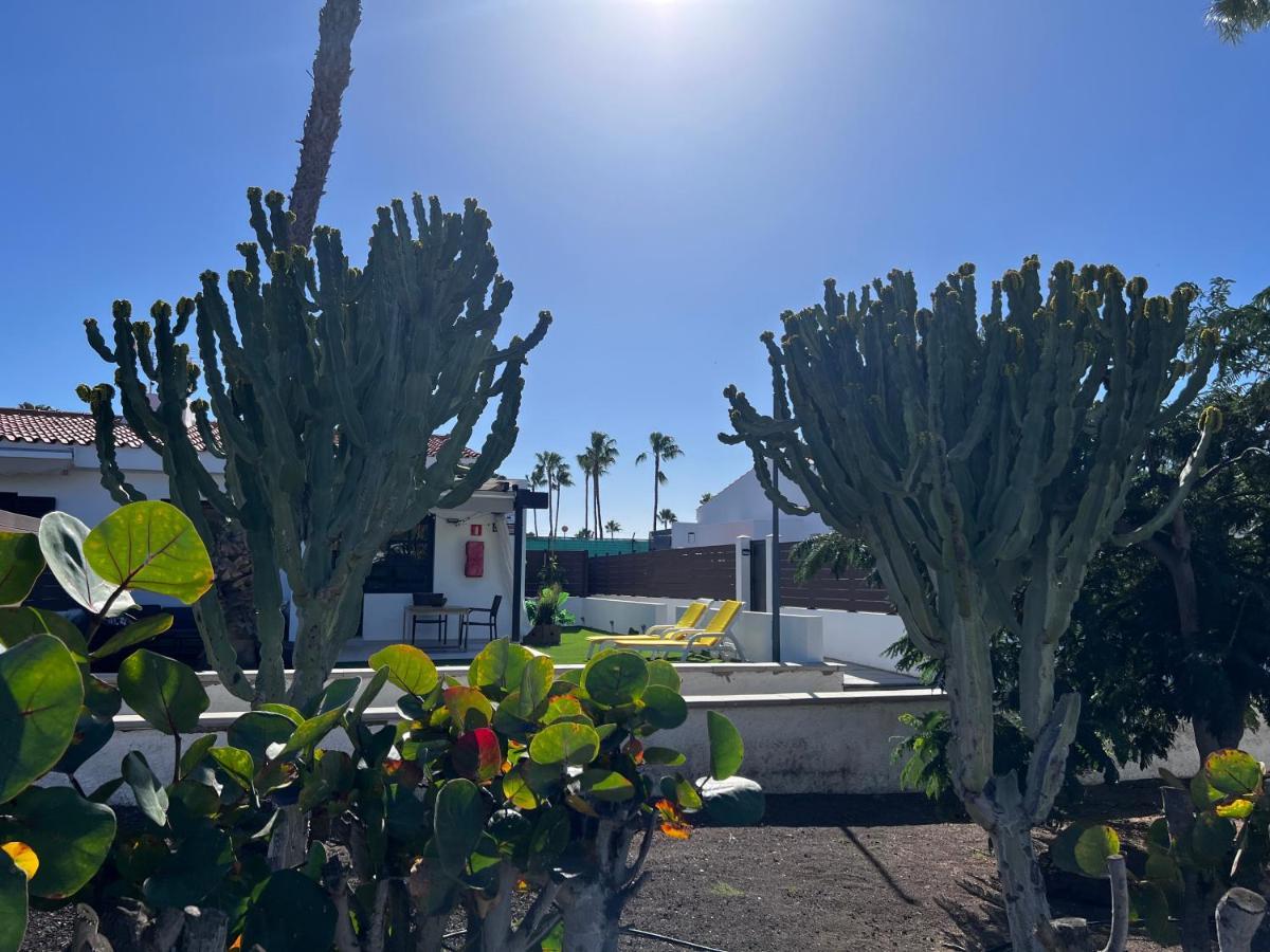 Escarabajo Bungalow Il Maggiolino Maspalomas  Exterior foto
